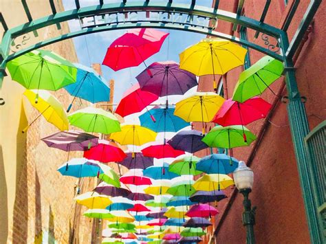 Visit Redlands: Best of Redlands Tourism | Expedia Travel Guide