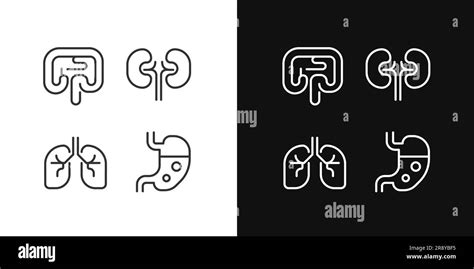 Human Organs Pixel Perfect Linear Icons Set For Dark Light Mode Stock