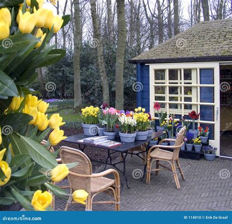 Flower Terrace Stock Photo Image Of Spring T Keukenhof 114010