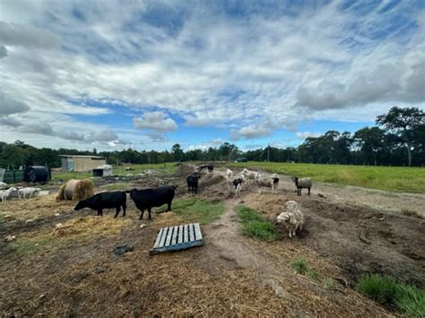 Yaxleys Road Byfield Qld Domain