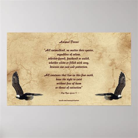 Animal Rights Poem And Bald Eagles Literary Poster Zazzle