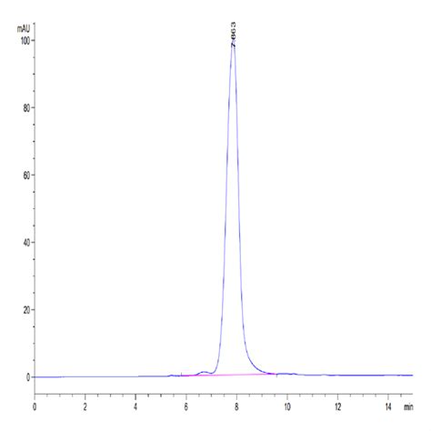 Biotinylated Human Angptl Angiopoietin Like Protein Ang Hm L B