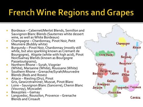 French Wine Regions and Grapes