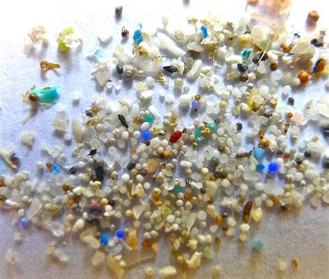 Microplastiche Trovate Per La Prima Volta Nel Sangue Umano