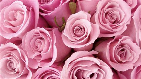 I Should Be An Anal Only Breeding Whore Want My Boyfriend To Only Fuck My Ass With No Prep So I