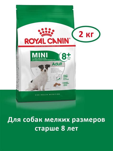 Royal Canin Mini Adult