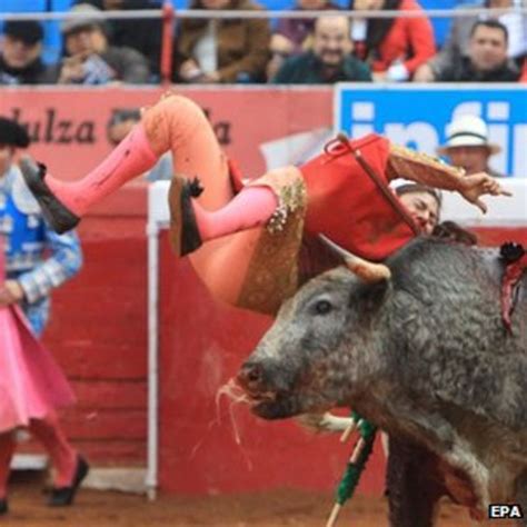 Mexican Female Bullfighter Karla De Los Angeles Gored BBC News