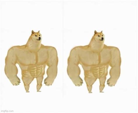 Buff Doge vs Buff Doge Blank Template - Imgflip