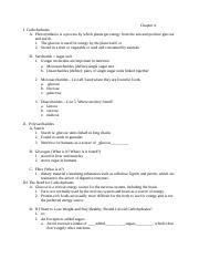 Ch 4 Carbohydrate Worksheet SCI 2 Docx Chapter 4 I Carbohydrates A