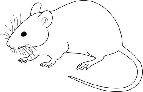 Rat Clip Art Black And White ~ Mouse Clipart Rat Mice Clip Diagram ...