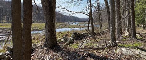 Top Hiking Trails in the Litchfield Hills | CTvisit