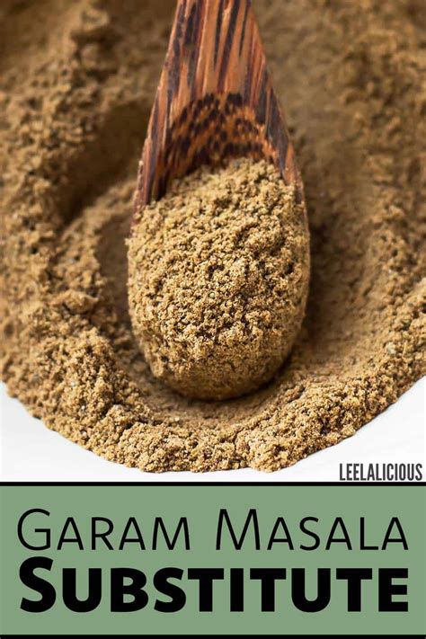 Garam Masala Substitute » LeelaLicious