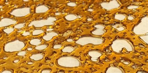 Cannabis Concentrates Guide Thc Oils Hash Wax Shatter And Dabs