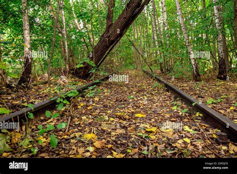 Overgrown Railway Track Hi Res Stock Photography And Images Alamy