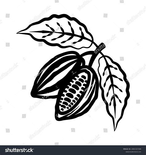 Chocolate Cocoa Beans Silhouettes Vector Illustration Stock Vector