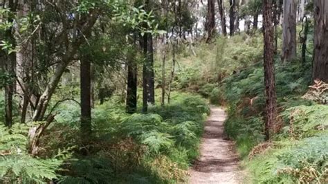 Grampians Waterfalls - Attractions, Swimming & Walks