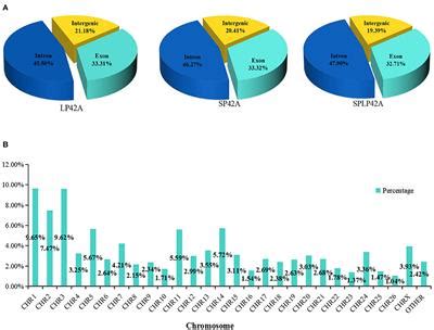 Frontiers Identification Of Photoperiod Induced Specific Mirnas In