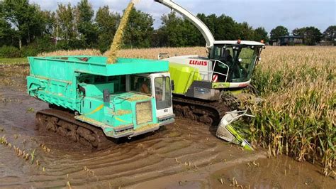 Maize Harvest In Extreme Wet Soil Conditions Claas Jaguar Kato