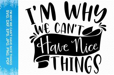 Im Why We Cant Have Nice Things Graphic By Blueflex · Creative Fabrica