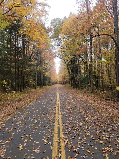 Bristol Tennessee Recent Obituaries and Services 1