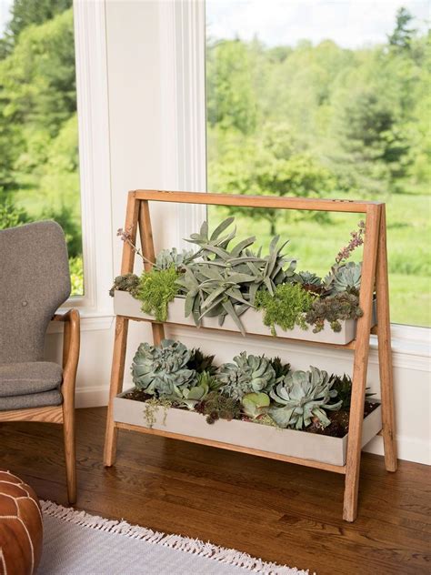 Cool Plant Stand Design Ideas For Indoor Houseplant 26 Framed Plants