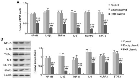 Resveratrol Ameliorates Nutritional Steatohepatitis Through The Mmumir