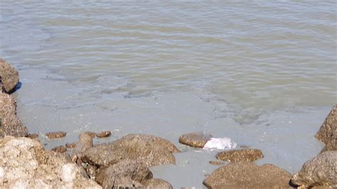 Fishermen Explain ‘muddy Sea Water Phenomenon Buletin Mutiara