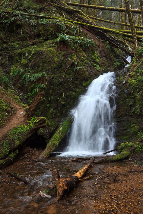 Tillamook State Forest Map - Northern Oregon Coast - Mapcarta