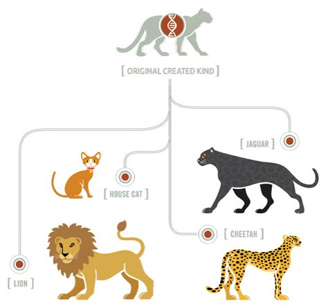 Cat Family Tree Chart