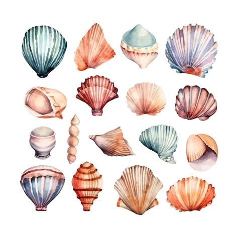 Free Vector Set Of Watercolor Seashells On Isolated Illustration Sea