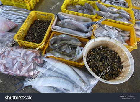 Pontian Fish Market Pasar Awam Pontian Stock Photo 1173934591