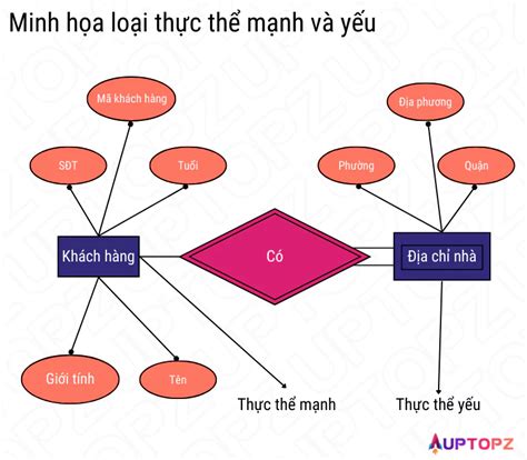 Entity Là Gì Định Nghĩa Từ Uptopz Media