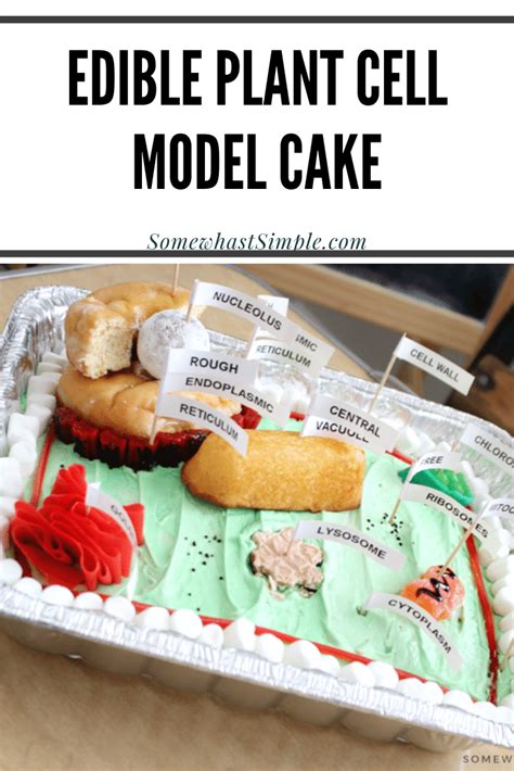 Edible Plant Cell Model Cake (+ Labels) - Somewhat Simple