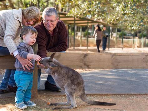 Featherdale Wildlife Park Ticket In Sydney Klook