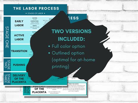 Labor Process Stages Of Labor Handout Printable Pdf Birth Education