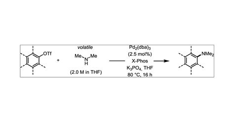 Palladium Catalyzed Synthesis Of Nn Dimethylanilines Via Buchwald