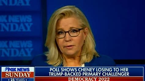 Cheney Goes On Fox And Defends Her Trump Criticism Using Murdoch’s Own Paper Cnn Business