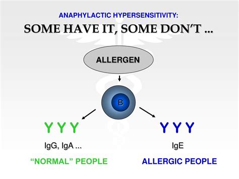 Ppt Immune Disorders Overviewgeneral Concepts Powerpoint