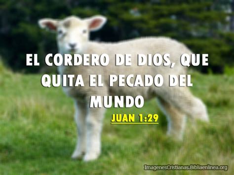 Im Genes Cristianas El Cordero De Dios Que Quita El Pecado Del Mundo