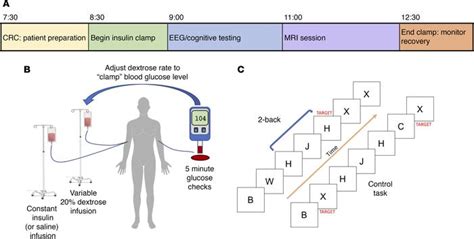 Jci Insight Task Related Fmri Bold Response To Hyperinsulinemia In