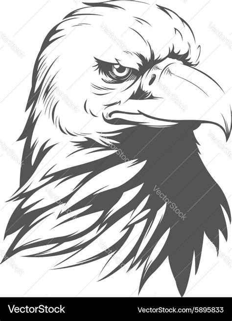 Bald Eagle Silhouette Royalty Free Vector Image