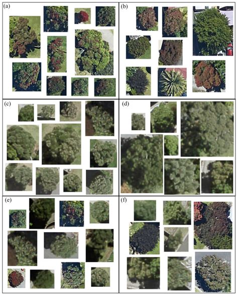 Examples Of Errors From Xgboost Models A P Hutukawa Canopies