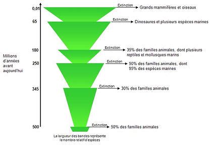 Les cinq grandes crises biologiques PaléoDico l encyclopédie des