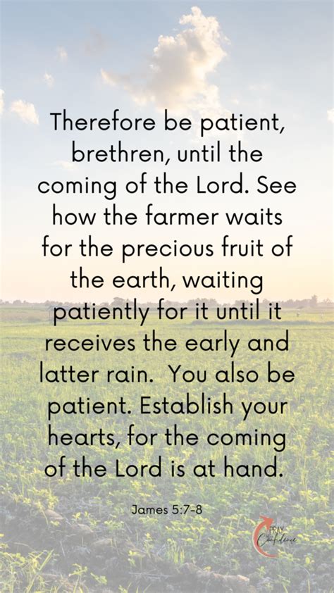 Encouraging And Biblical Farmers Prayers Pray With Confidence