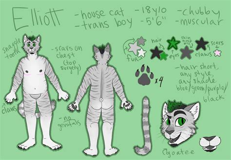 Fursona Reference By Felineelliott On Deviantart