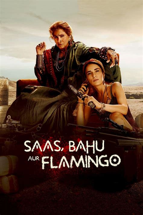 Saas Bahu Aur Flamingo Tv Series Posters The Movie