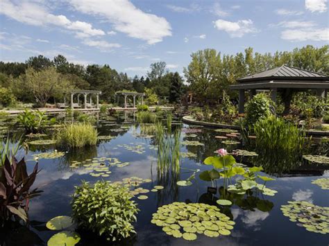 Denver Botanic Gardens Reciprocal Membership Patio Garden Sheds