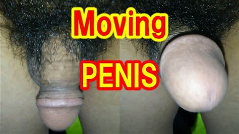 Moving Penis Pornhub Gay