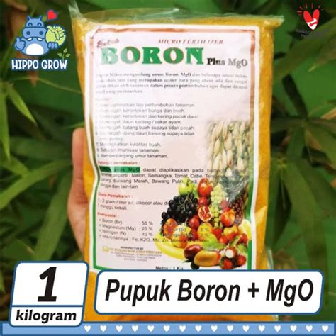 Jual Pupuk Boron Plus MgO Kemasan 1kg Tanaman Tumbuh Optimal Kota