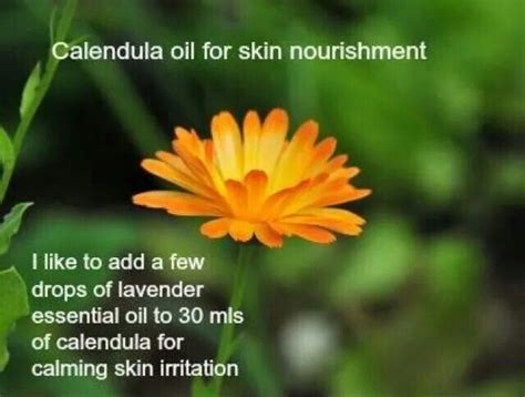 Calendula Carrier Oil